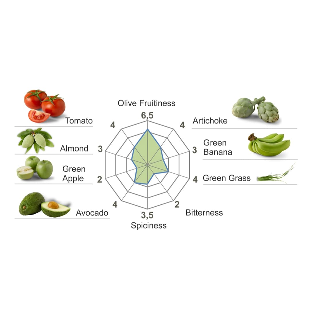 Radar chart showcasing CASAS DE HUALDO Extra Virgin Olive Oil Arbequina attributes: fruitiness (tomato, almond, artichoke), spiciness, bitterness. Illustrations of tomatoes, almonds, avocados, artichokes, green apples, bananas, and grass complete the Casas de Hualdo experience.