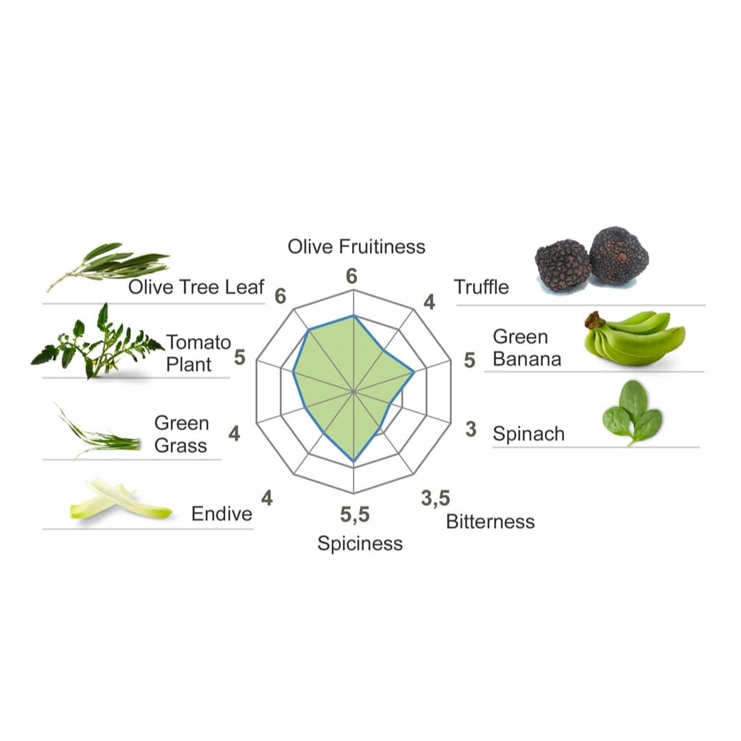 A radar chart highlights olive fruitiness, spiciness, and bitterness, with an area showcasing the rich qualities of CASAS DE HUALDO Extra Virgin Olive Oil Manzanilla. Left attributes: olive tree leaf, tomato plant, green grass, endive. Right: truffle, green banana, spinach.