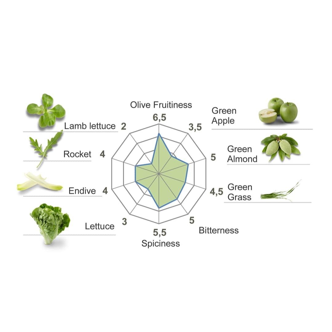 A radar chart showcases the olive fruitiness, green almond, green apple, green grass, bitterness, spiciness of various lettuce types (lambs lettuce, rocket, endive), featuring Casas de Hualdo Cornicabra Extra Virgin Olive Oil. Values between 3.5 and 6.5 with ingredient images included.